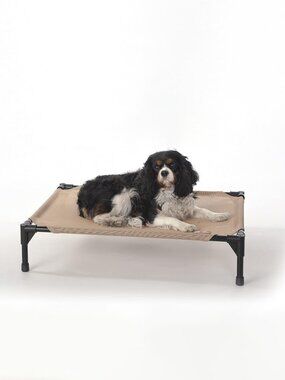 Elevated Dog Pet Cot